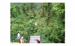 2008 COSTA RICA