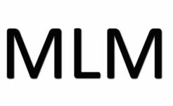 MLM LIFE PERSPECTIVE